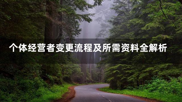 个体经营者变更流程及所需资料全解析