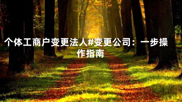 个体工商户变更法人#变更公司：一步操作指南