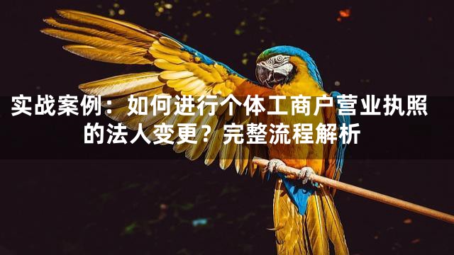 实战案例：如何进行个体工商户营业执照的法人变更？完整流程解析
