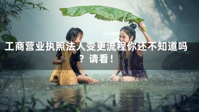 工商营业执照法人变更流程你还不知道吗？请看！