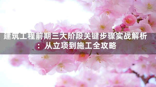 建筑工程前期三大阶段关键步骤实战解析：从立项到施工全攻略