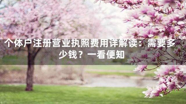 个体户注册营业执照费用详解读：需要多少钱？一看便知