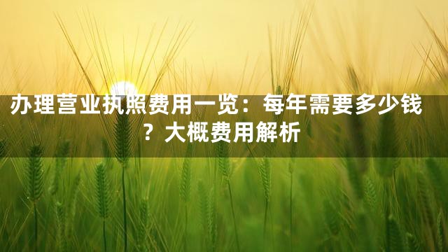 办理营业执照费用一览：每年需要多少钱？大概费用解析