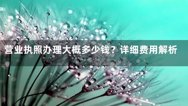 营业执照办理大概多少钱？详细费用解析