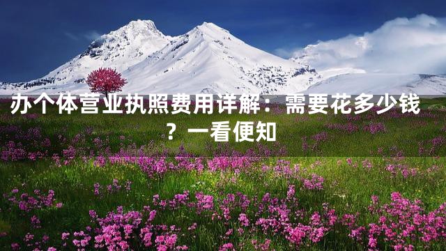 办个体营业执照费用详解：需要花多少钱？一看便知