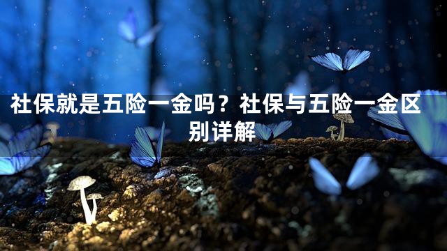 社保就是五险一金吗？社保与五险一金区别详解