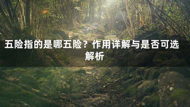 五险指的是哪五险？作用详解与是否可选解析