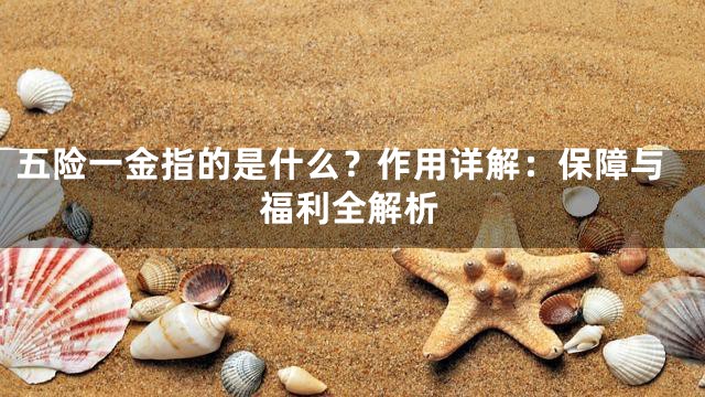 五险一金指的是什么？作用详解：保障与福利全解析