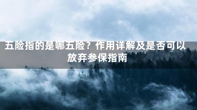 五险指的是哪五险？作用详解及是否可以放弃参保指南