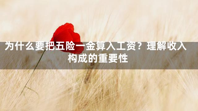 为什么要把五险一金算入工资？理解收入构成的重要性