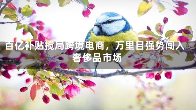 百亿补贴搅局跨境电商，万里目强势闯入奢侈品市场