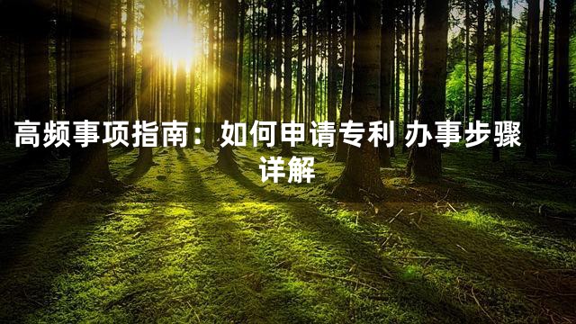 高频事项指南：如何申请专利 办事步骤详解