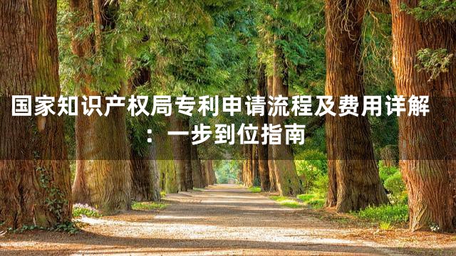 国家知识产权局专利申请流程及费用详解：一步到位指南