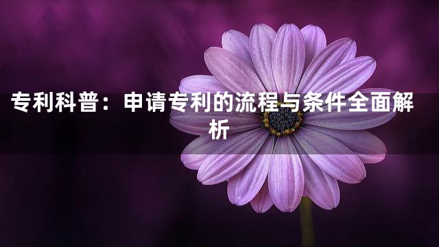 专利科普：申请专利的流程与条件全面解析