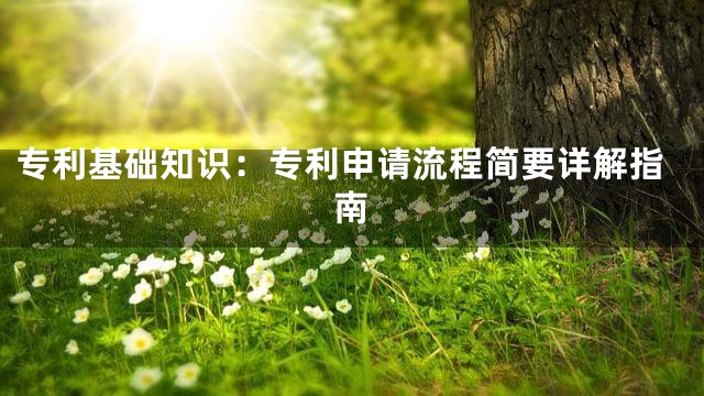 专利基础知识：专利申请流程简要详解指南