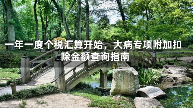 一年一度个税汇算开始，大病专项附加扣除金额查询指南