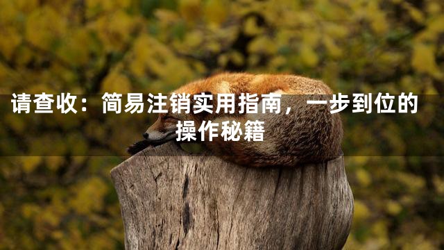 请查收：简易注销实用指南，一步到位的操作秘籍