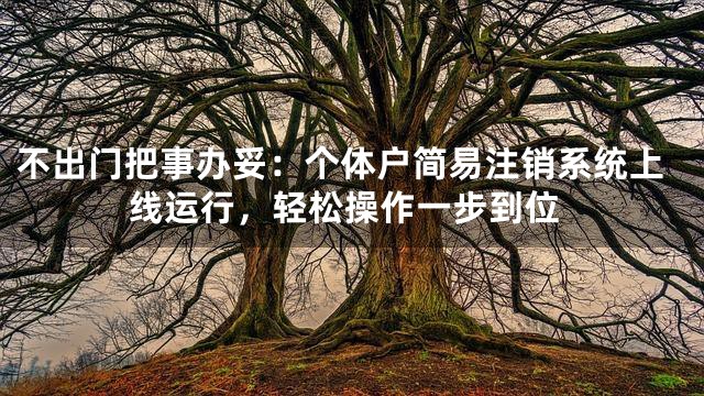 不出门把事办妥：个体户简易注销系统上线运行，轻松操作一步到位