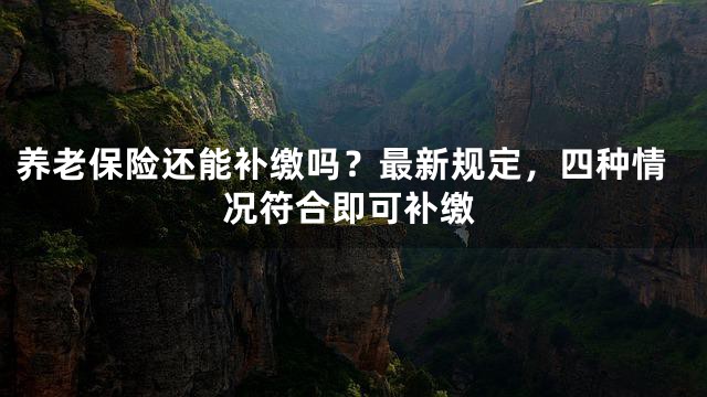 养老保险还能补缴吗？最新规定，四种情况符合即可补缴