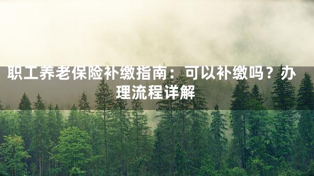 职工养老保险补缴指南：可以补缴吗？办理流程详解