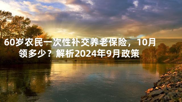 60岁农民一次性补交养老保险，10月领多少？解析2024年9月政策