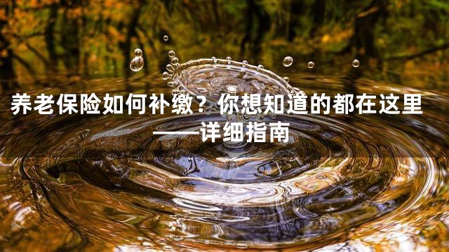 养老保险如何补缴？你想知道的都在这里——详细指南