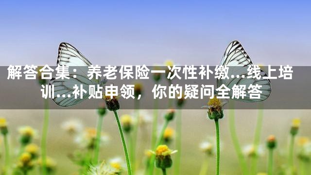 解答合集：养老保险一次性补缴…线上培训…补贴申领，你的疑问全解答