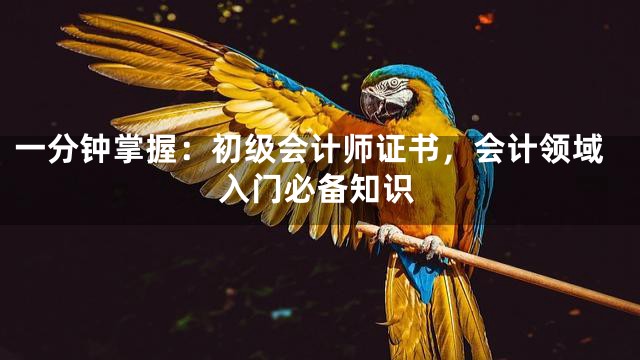 一分钟掌握：初级会计师证书，会计领域入门必备知识