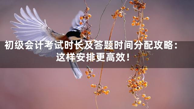 初级会计考试时长及答题时间分配攻略：这样安排更高效！