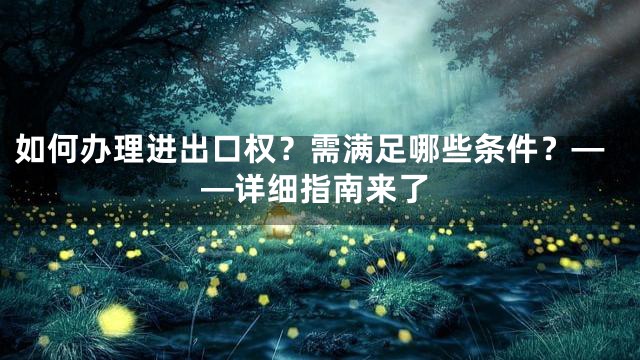 如何办理进出口权？需满足哪些条件？——详细指南来了