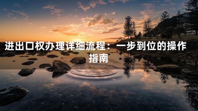 进出口权办理详细流程：一步到位的操作指南