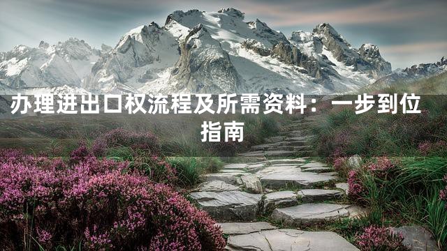 办理进出口权流程及所需资料：一步到位指南