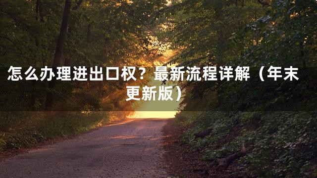 怎么办理进出口权？最新流程详解（年末更新版）
