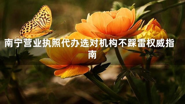 南宁营业执照代办选对机构不踩雷权威指南