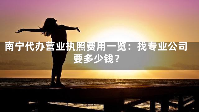 南宁代办营业执照费用一览：找专业公司要多少钱？