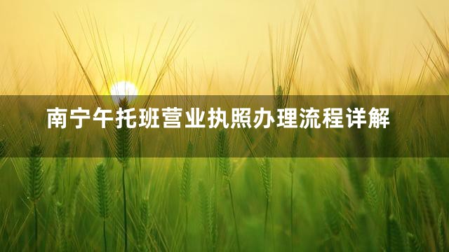 南宁午托班营业执照办理流程详解