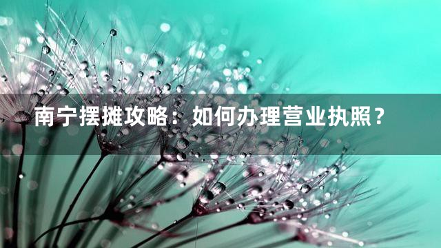 南宁摆摊攻略：如何办理营业执照？