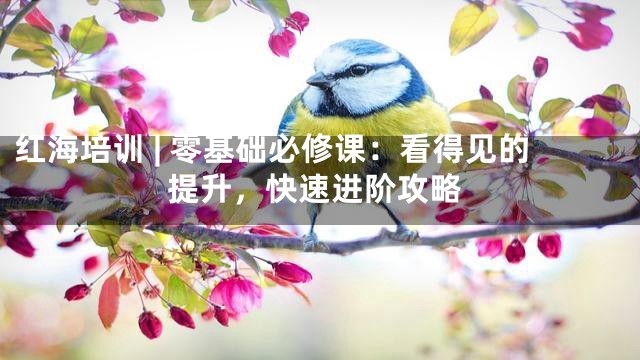 红海培训 | 零基础必修课：看得见的提升，快速进阶攻略