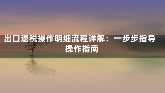 出口退税操作明细流程详解：一步步指导操作指南