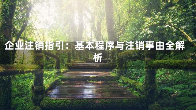 企业注销指引：基本程序与注销事由全解析