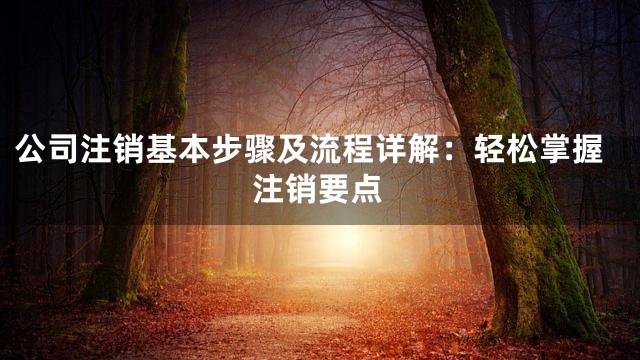 公司注销基本步骤及流程详解：轻松掌握注销要点