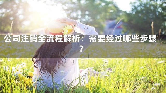 公司注销全流程解析：需要经过哪些步骤？