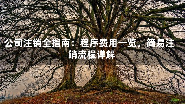 公司注销全指南：程序费用一览，简易注销流程详解