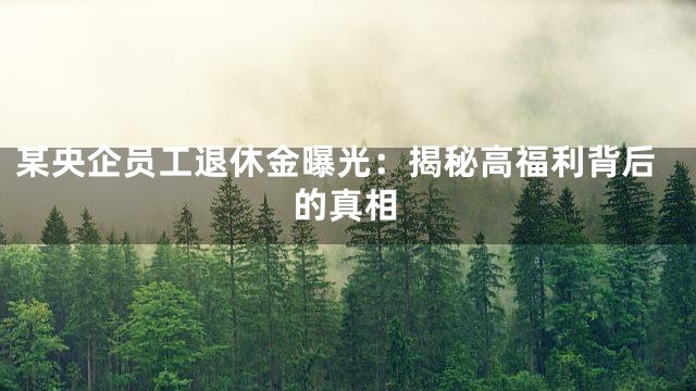 某央企员工退休金曝光：揭秘高福利背后的真相