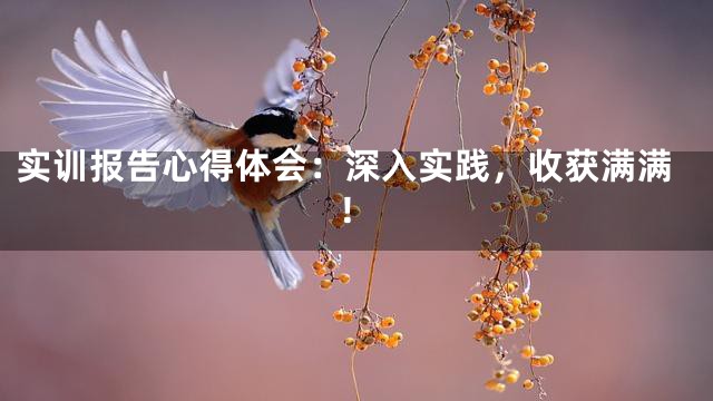 实训报告心得体会：深入实践，收获满满！