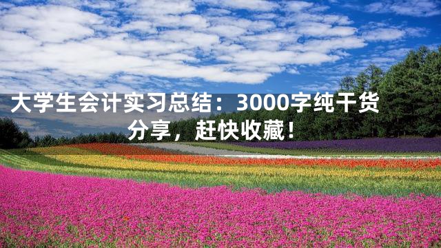 大学生会计实习总结：3000字纯干货分享，赶快收藏！