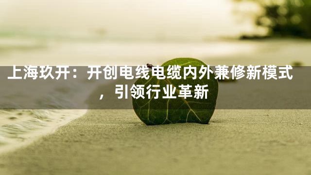 上海玖开：开创电线电缆内外兼修新模式，引领行业革新