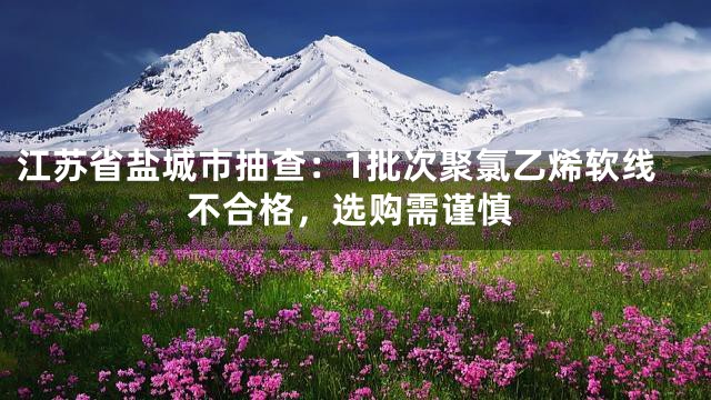 江苏省盐城市抽查：1批次聚氯乙烯软线不合格，选购需谨慎