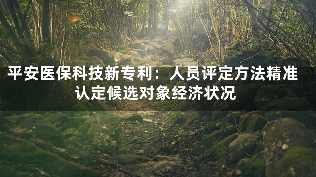 平安医保科技新专利：人员评定方法精准认定候选对象经济状况