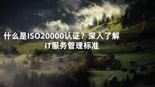 什么是ISO20000认证？深入了解IT服务管理标准